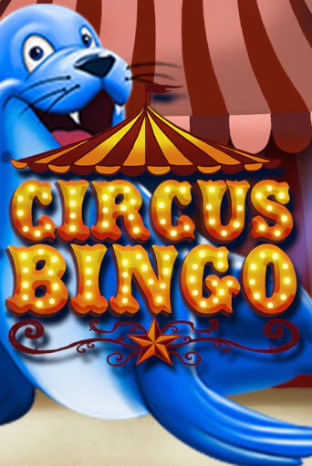 Демо игра Circus Bingo играть онлайн | VAVADA Casino бесплатно