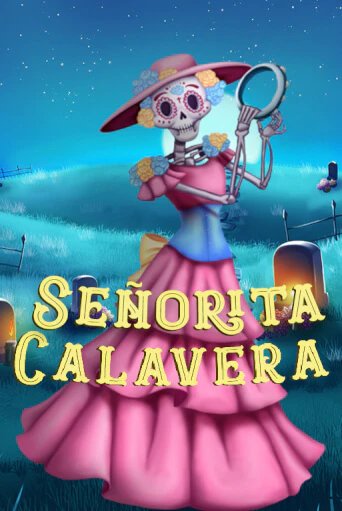 Демо игра Bingo Señorita Calavera играть онлайн | VAVADA Casino бесплатно