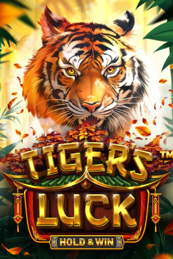 Демо игра Tiger's Luck - Hold & Win играть онлайн | VAVADA Casino бесплатно