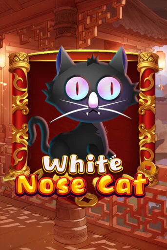 Демо игра White Nose Cat играть онлайн | VAVADA Casino бесплатно