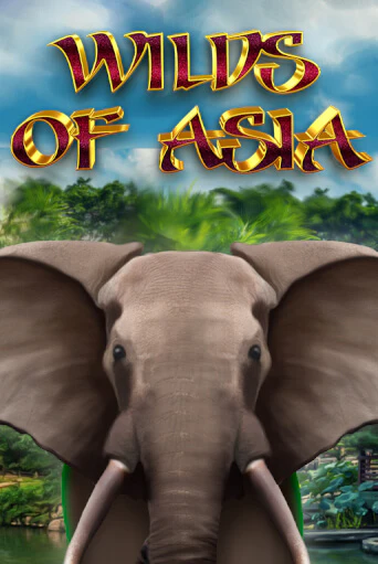 Демо игра Wilds of Asia играть онлайн | VAVADA Casino бесплатно