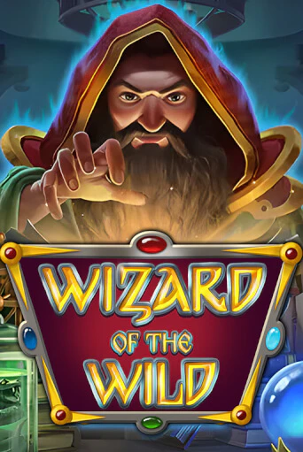 Демо игра Wizard of the Wild играть онлайн | VAVADA Casino бесплатно