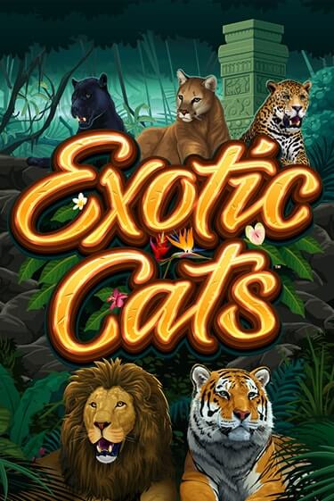 Демо игра Exotic Cats играть онлайн | VAVADA Casino бесплатно